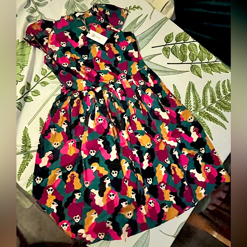 nwt emily and fin dress